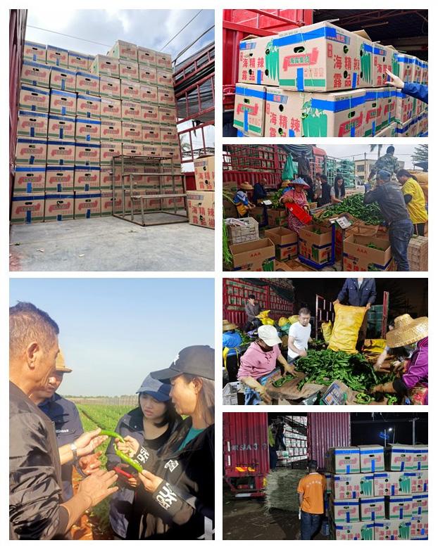 俄罗斯专享会294·VIP(中国区)官方网站