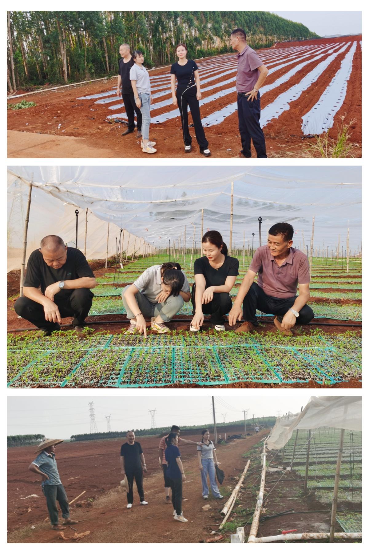 俄罗斯专享会294·VIP(中国区)官方网站