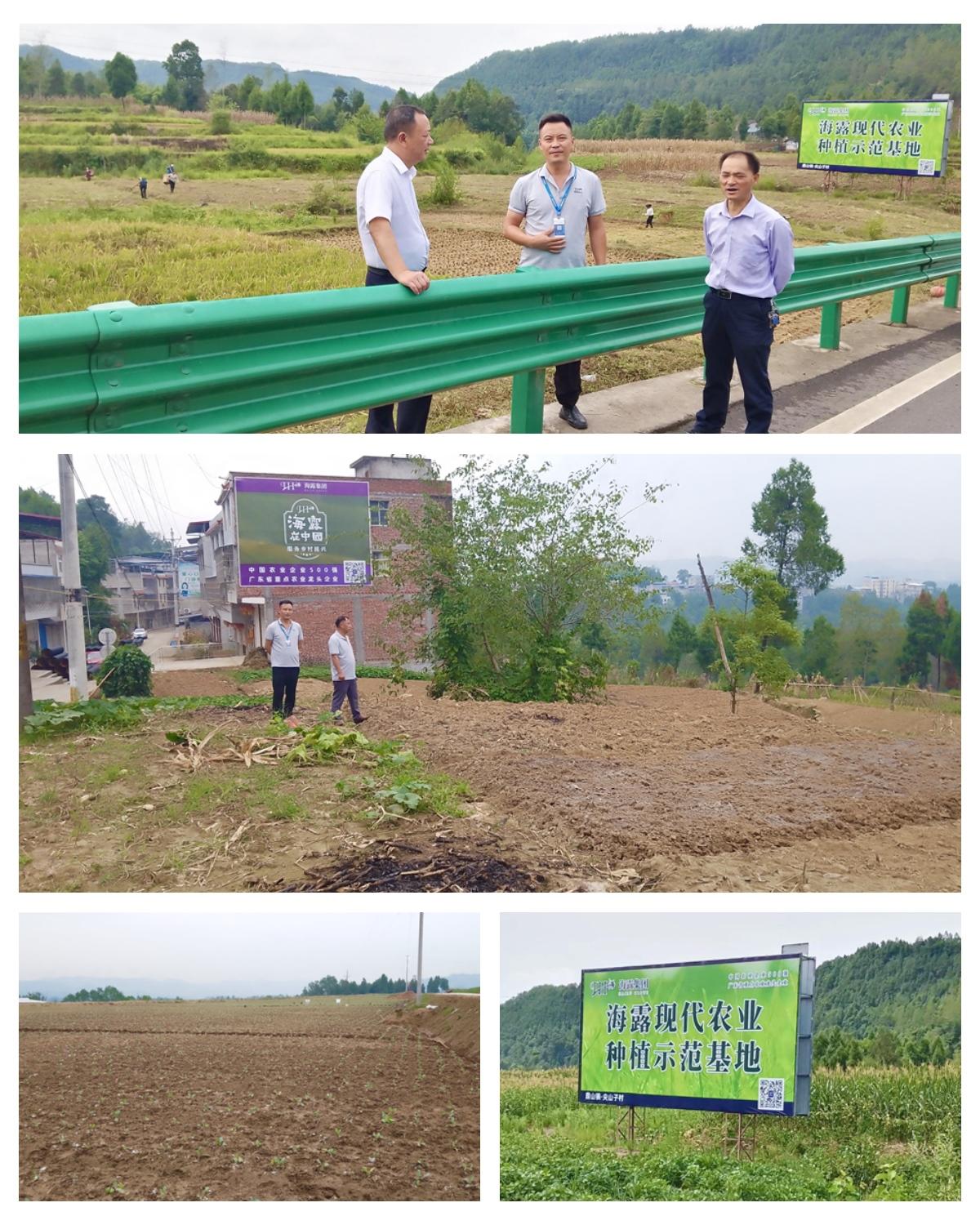 俄罗斯专享会294·VIP(中国区)官方网站