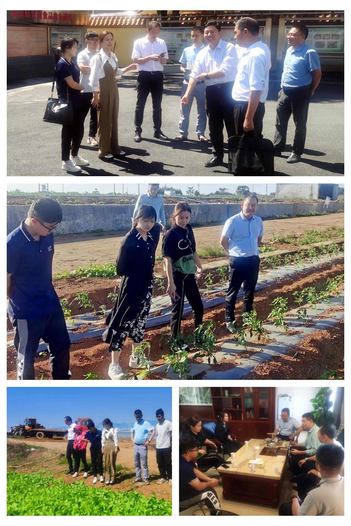 俄罗斯专享会294·VIP(中国区)官方网站