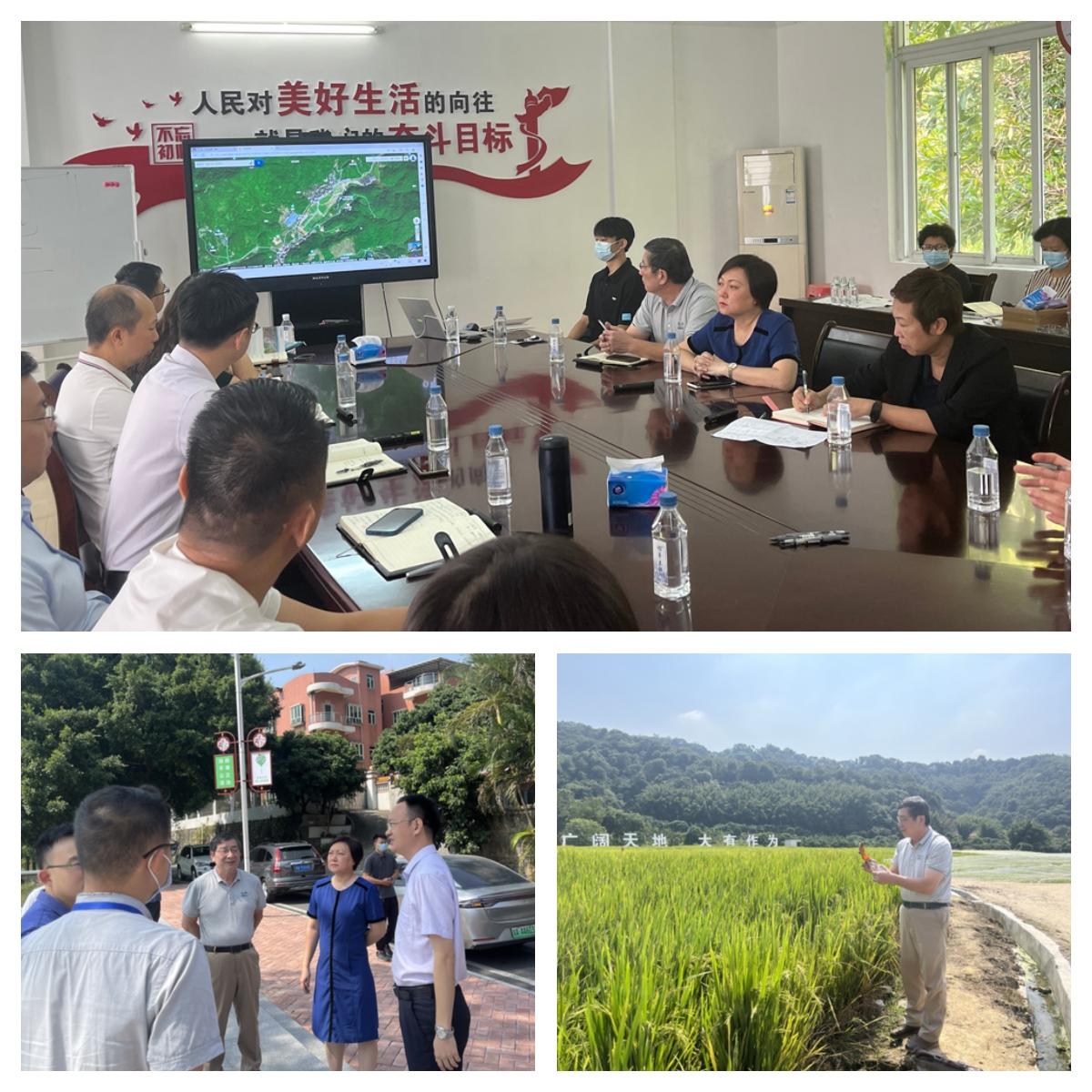 俄罗斯专享会294·VIP(中国区)官方网站