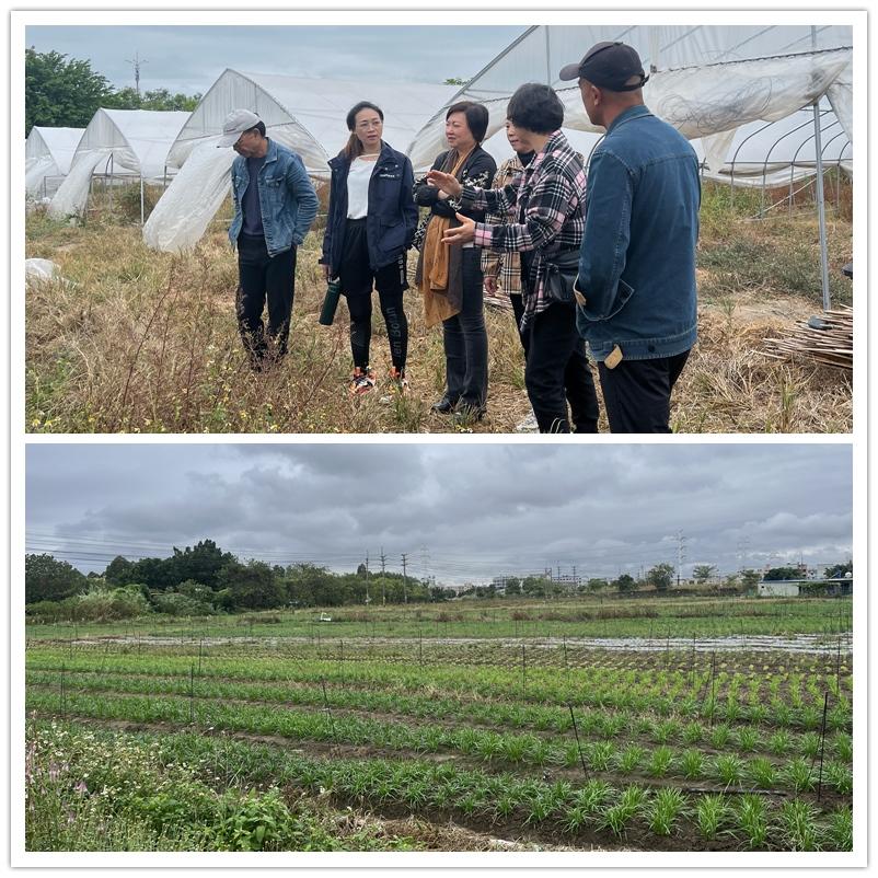 俄罗斯专享会294·VIP(中国区)官方网站