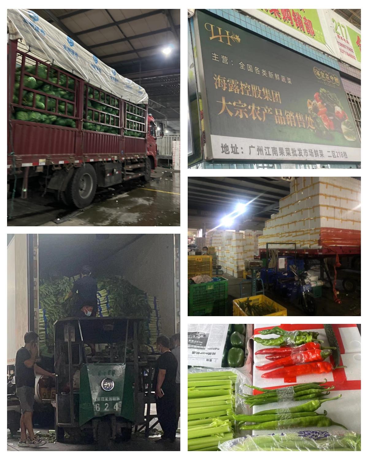 俄罗斯专享会294·VIP(中国区)官方网站