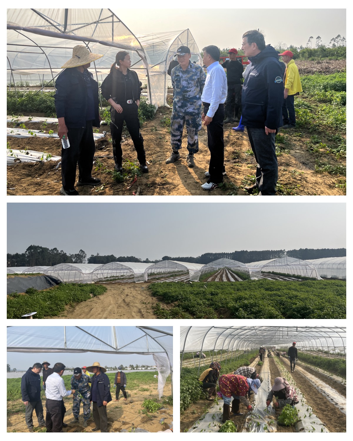 俄罗斯专享会294·VIP(中国区)官方网站