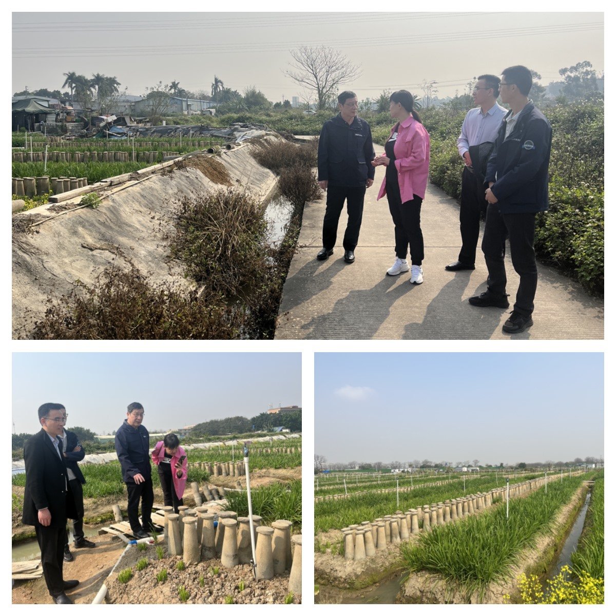 俄罗斯专享会294·VIP(中国区)官方网站