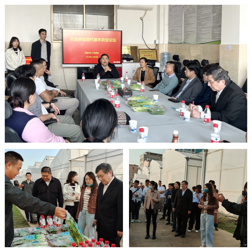 俄罗斯专享会294·VIP(中国区)官方网站