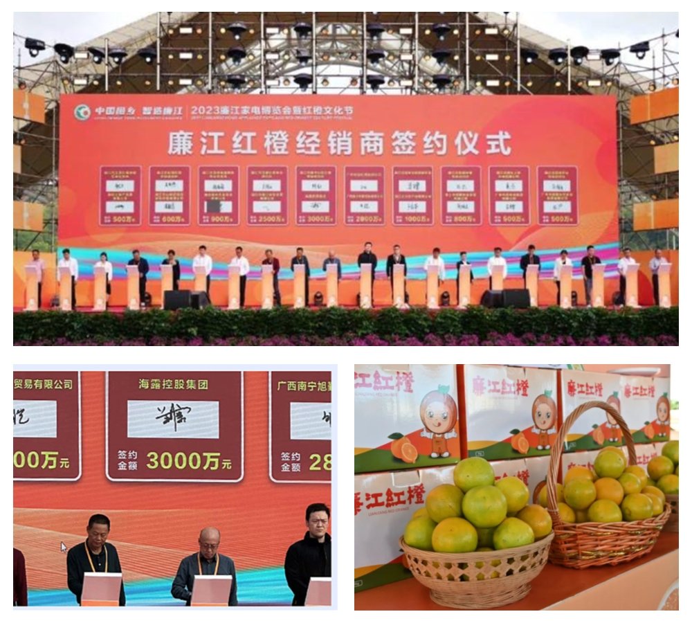 俄罗斯专享会294·VIP(中国区)官方网站