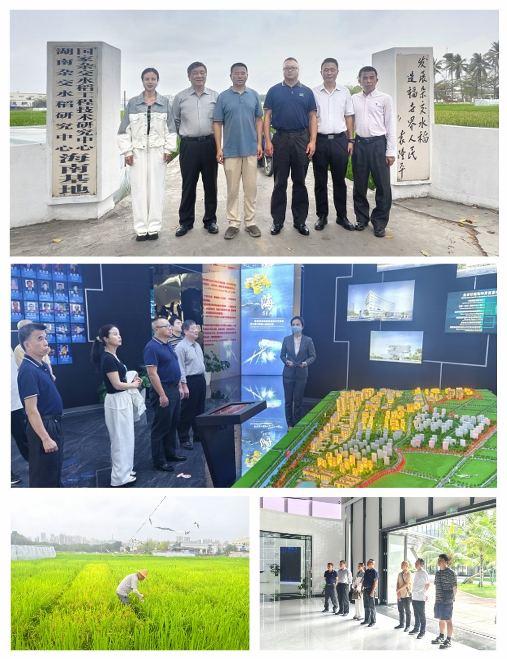 俄罗斯专享会294·VIP(中国区)官方网站