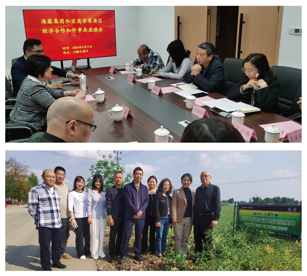 俄罗斯专享会294·VIP(中国区)官方网站