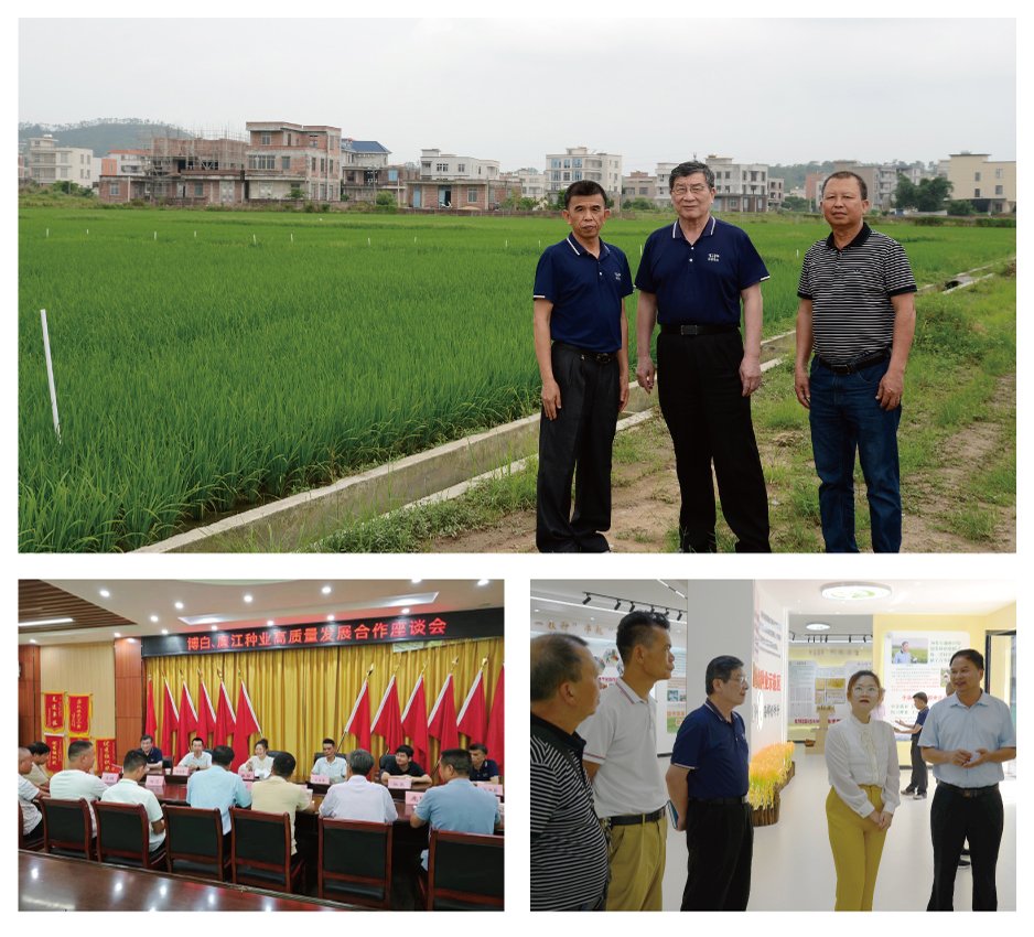 俄罗斯专享会294·VIP(中国区)官方网站