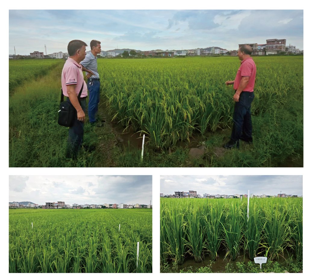 俄罗斯专享会294·VIP(中国区)官方网站