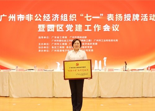 标杆引领，荣誉升级！集团党支部荣膺广州市非公有造经济组织“双强六好”标