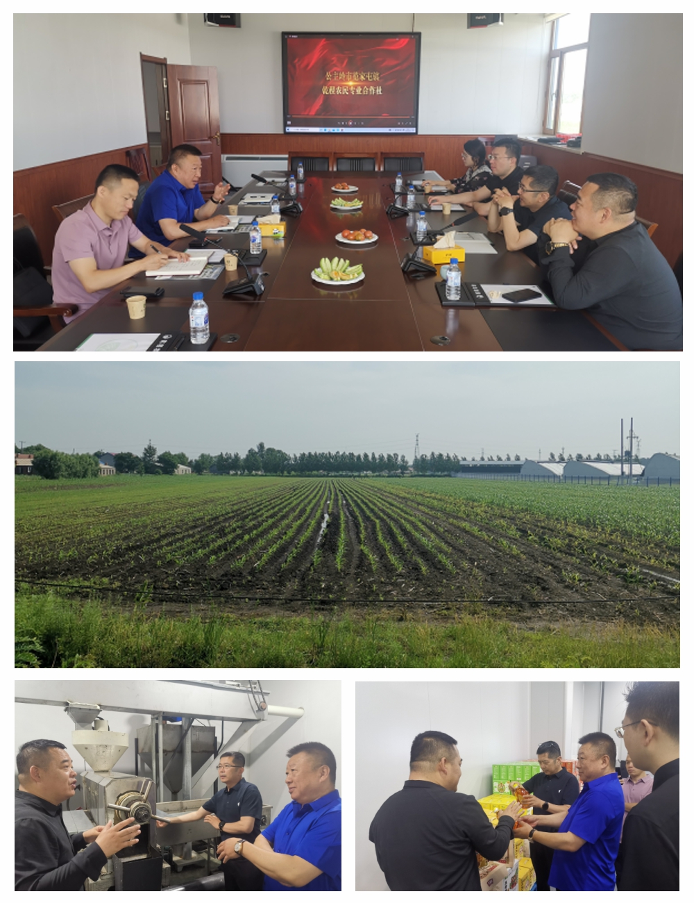 俄罗斯专享会294·VIP(中国区)官方网站