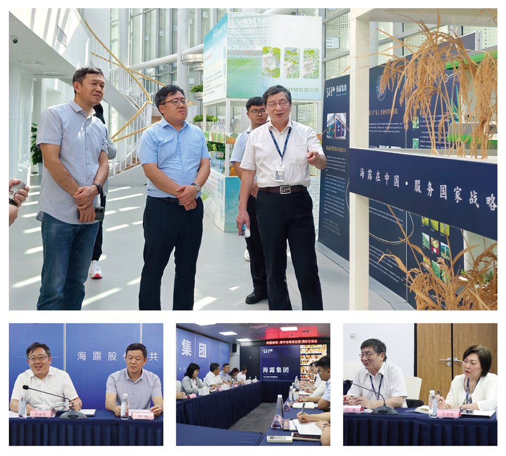 俄罗斯专享会294·VIP(中国区)官方网站