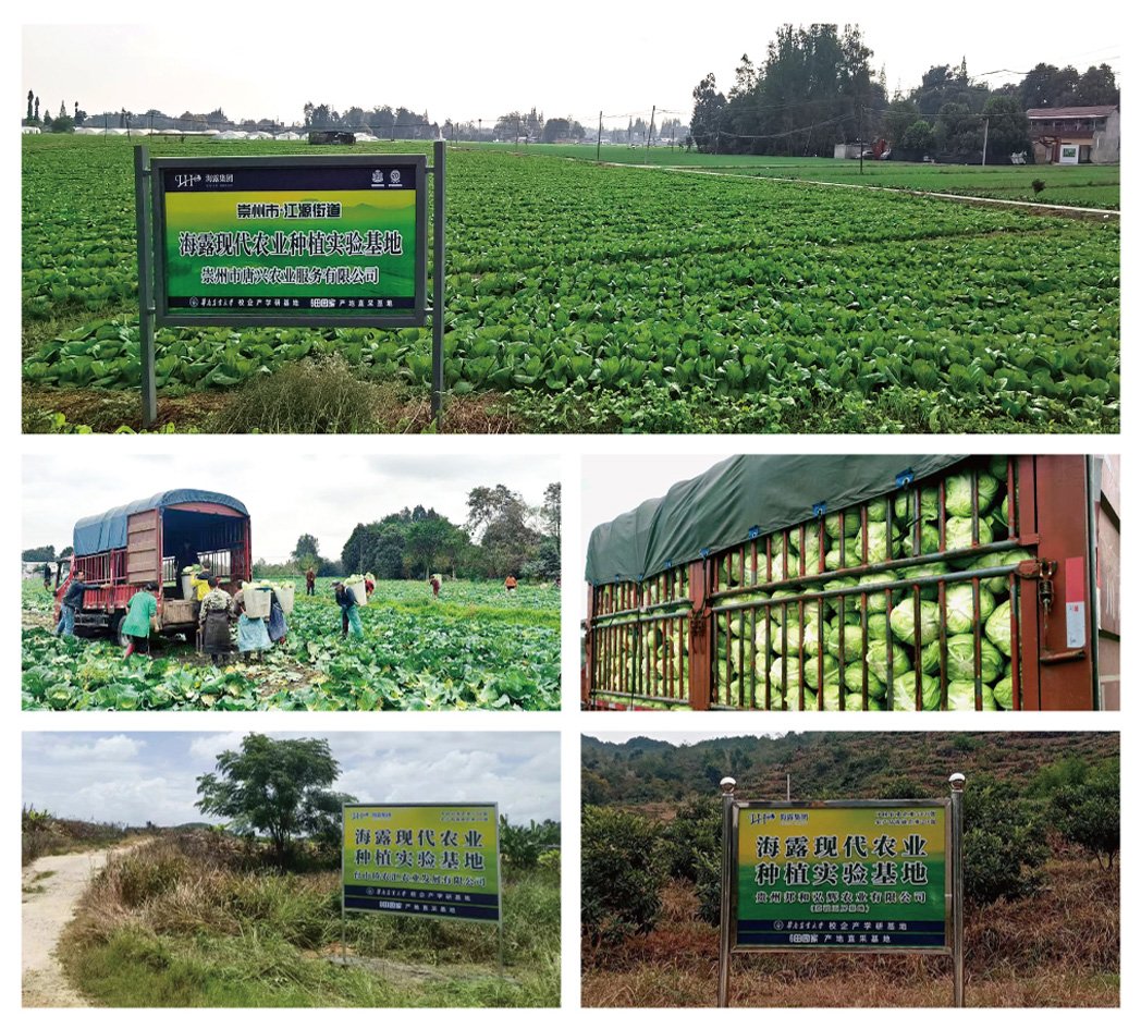 俄罗斯专享会294·VIP(中国区)官方网站