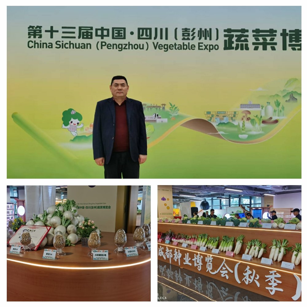 俄罗斯专享会294·VIP(中国区)官方网站