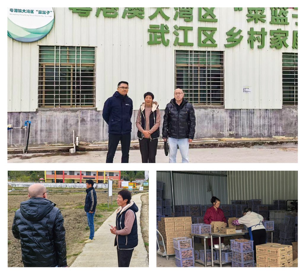 俄罗斯专享会294·VIP(中国区)官方网站