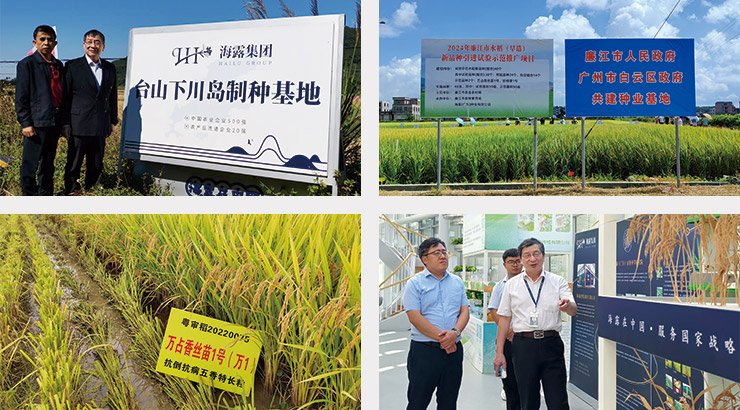 俄罗斯专享会294·VIP(中国区)官方网站