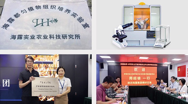 俄罗斯专享会294·VIP(中国区)官方网站