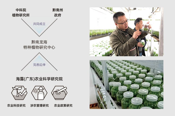 俄罗斯专享会294·VIP(中国区)官方网站