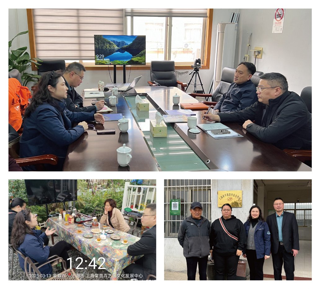 俄罗斯专享会294·VIP(中国区)官方网站