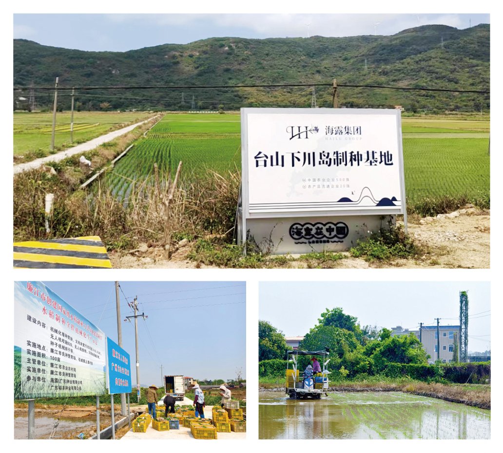 俄罗斯专享会294·VIP(中国区)官方网站