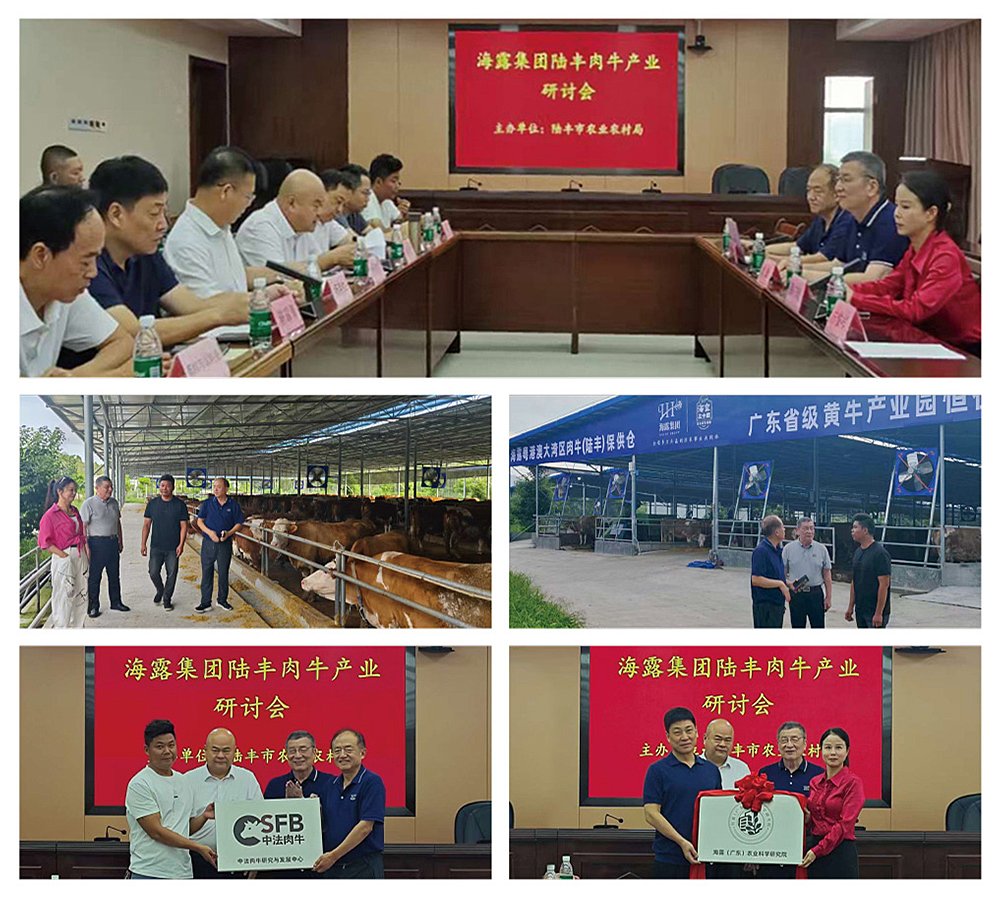 俄罗斯专享会294·VIP(中国区)官方网站