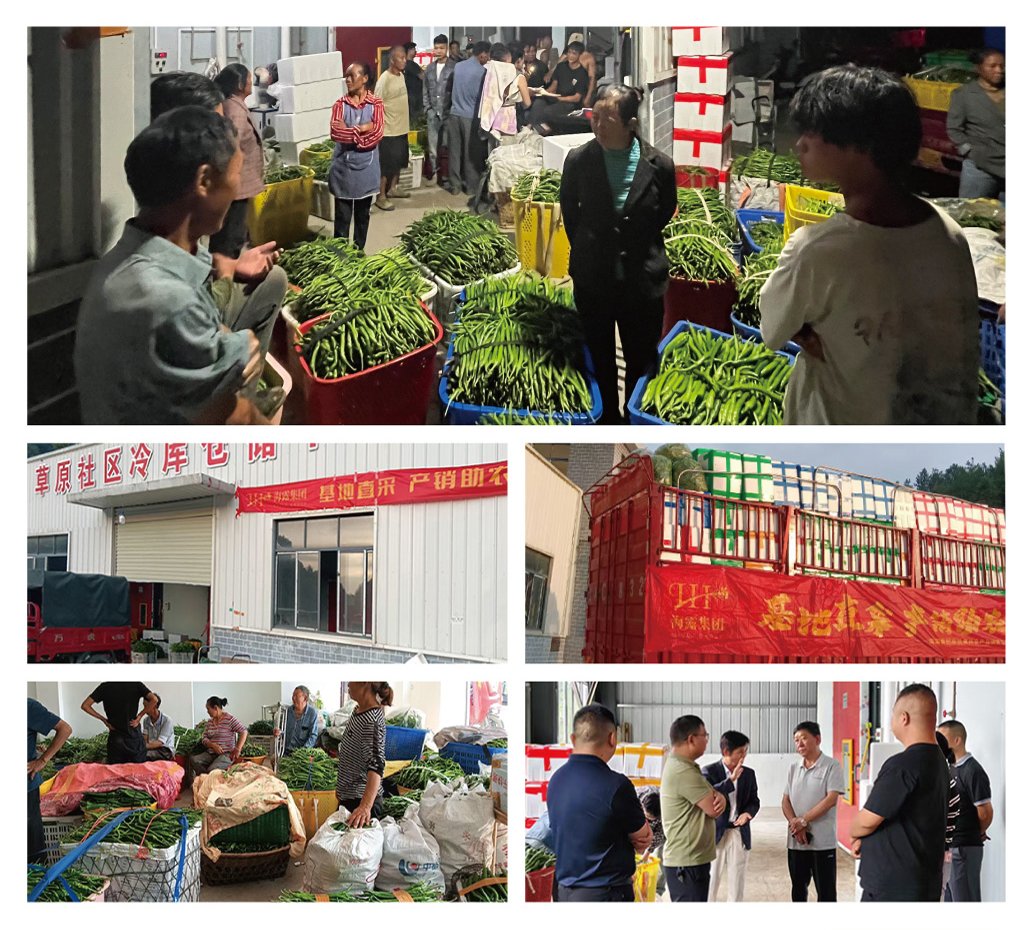 俄罗斯专享会294·VIP(中国区)官方网站