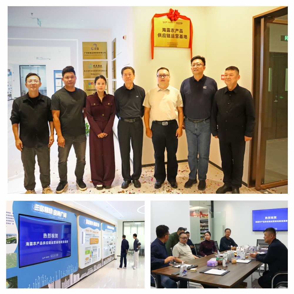 俄罗斯专享会294·VIP(中国区)官方网站