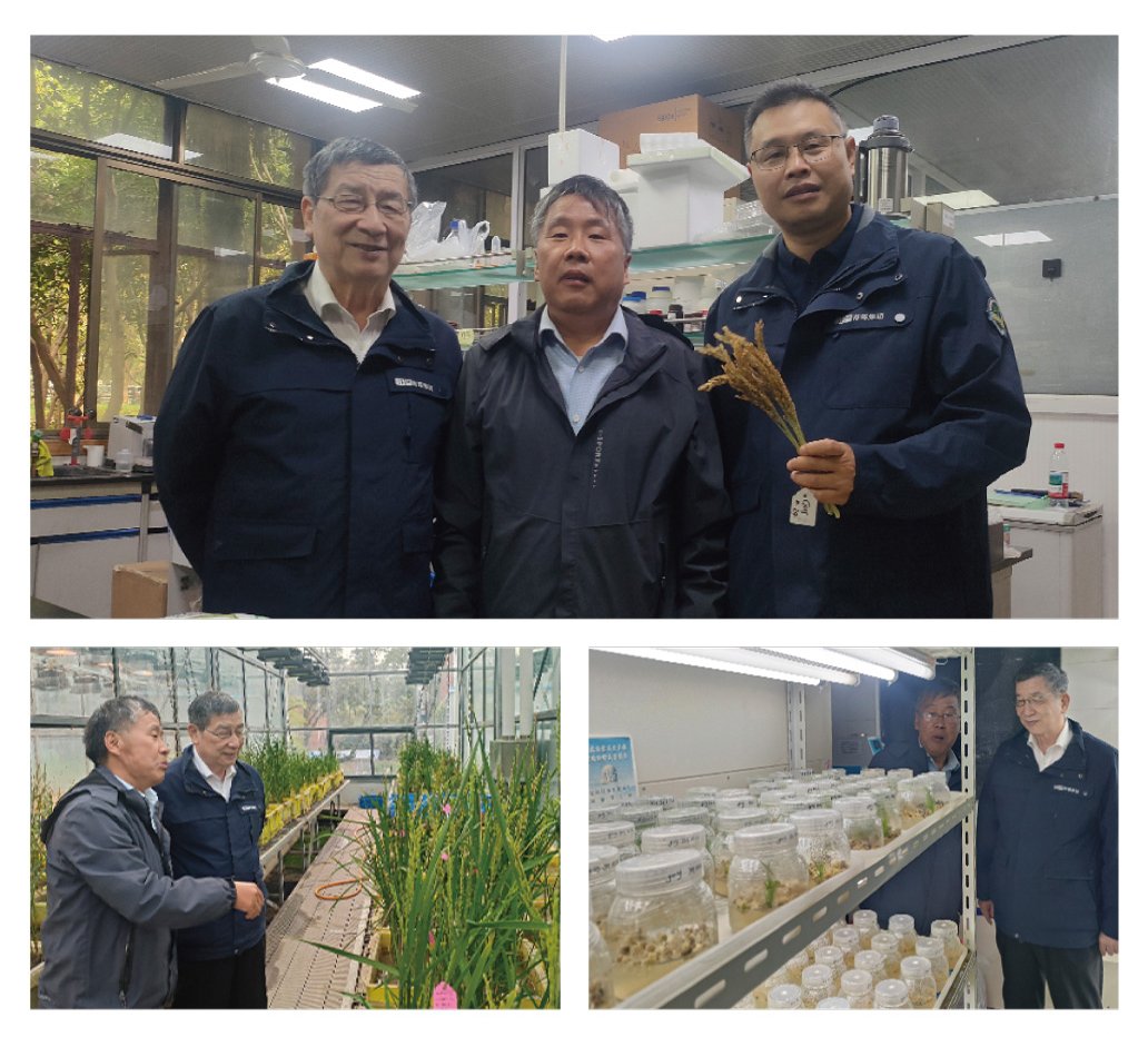 俄罗斯专享会294·VIP(中国区)官方网站