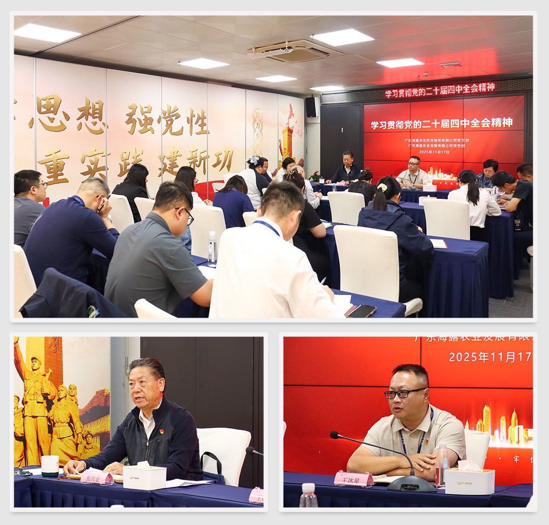 俄罗斯专享会294·VIP(中国区)官方网站