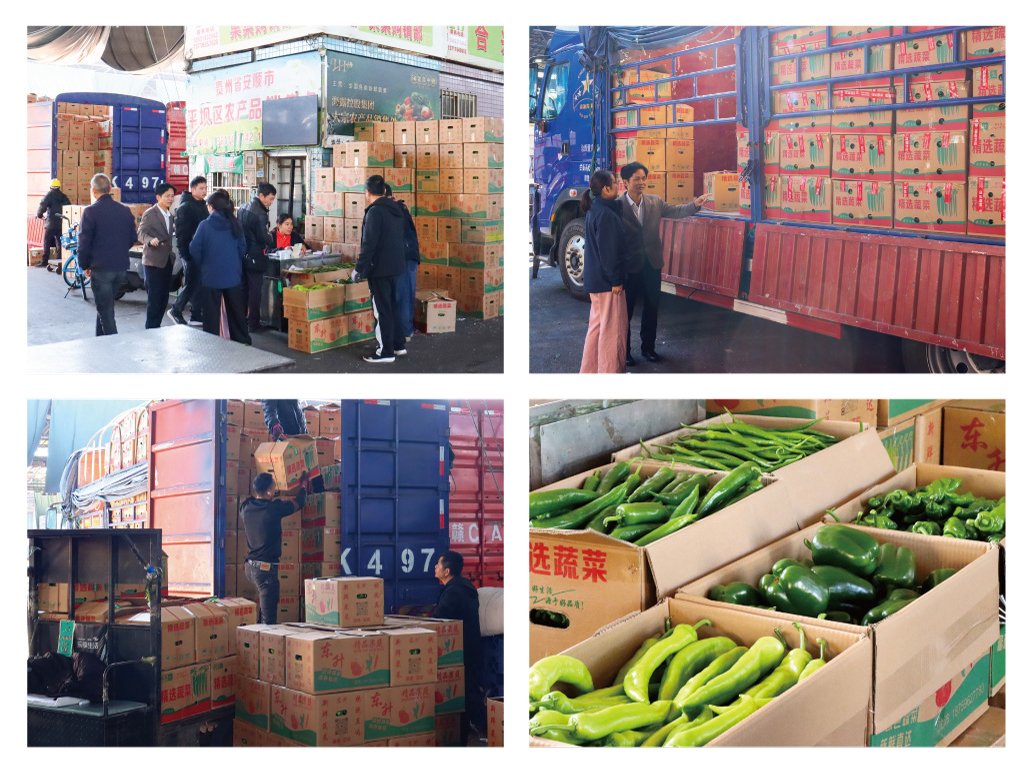 俄罗斯专享会294·VIP(中国区)官方网站