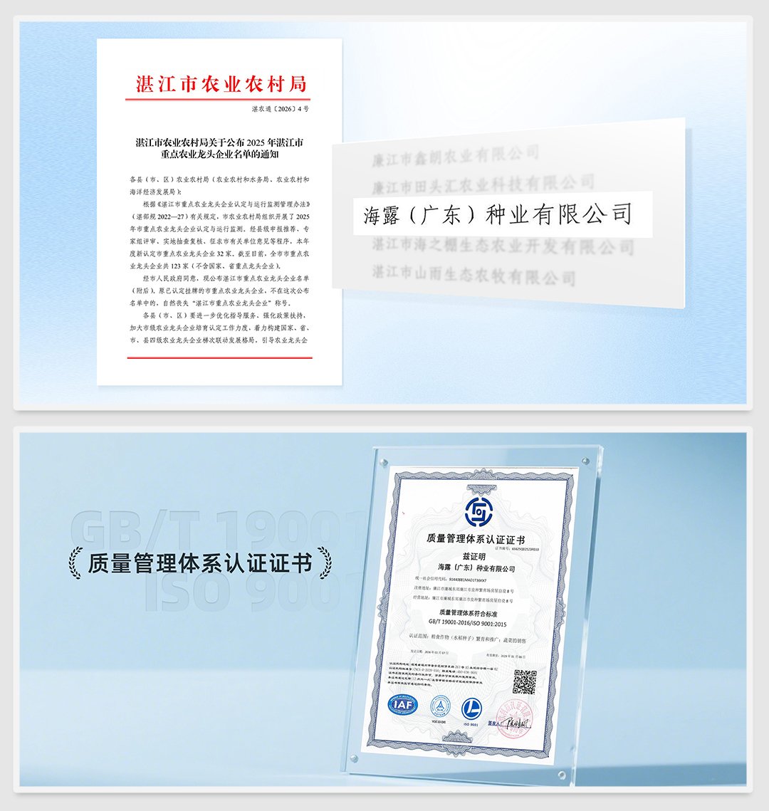 俄罗斯专享会294·VIP(中国区)官方网站